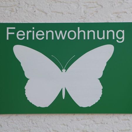 Ferienwohnung Schmetterling 特伦德尔堡 外观 照片